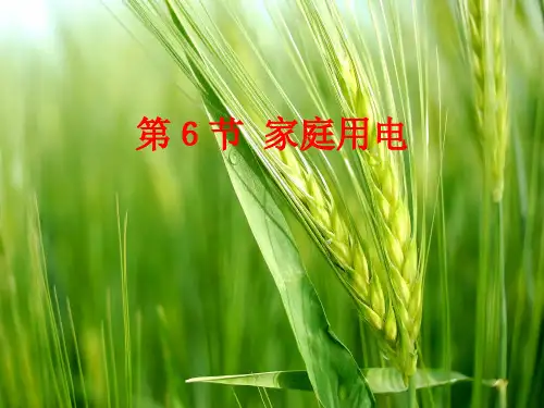 浙教版八年级科学下册1.6 家庭用电