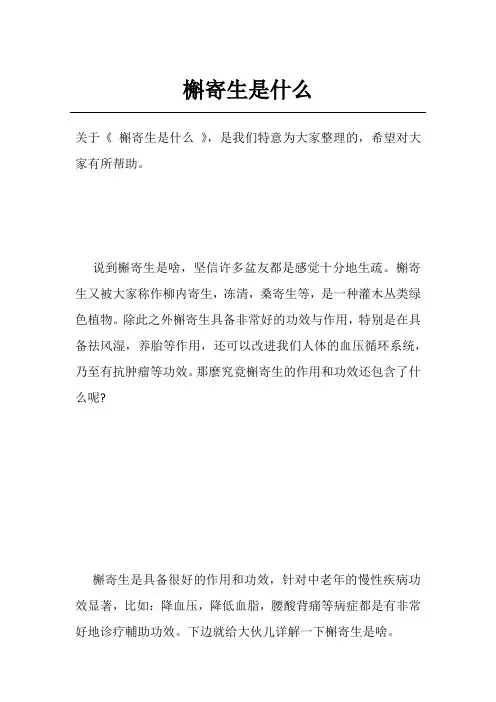 槲寄生是什么
