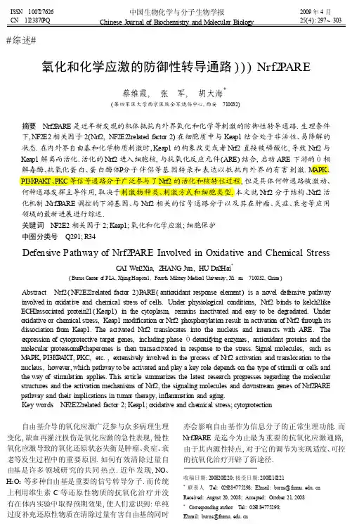 氧化和化学应激的防御性转导通路_Nrf2_ARE