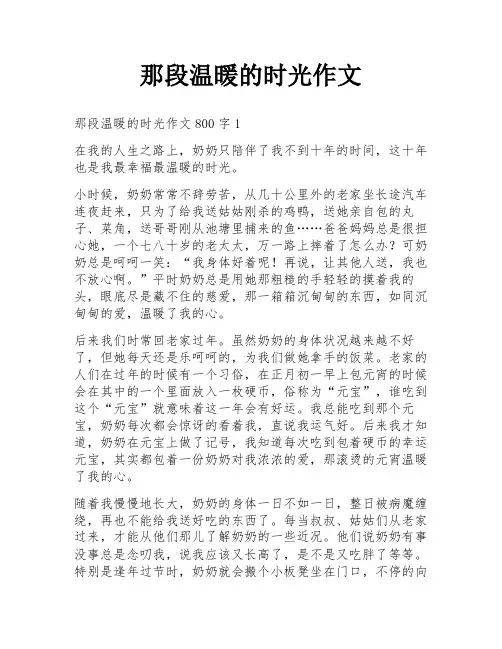 那段温暖的时光作文