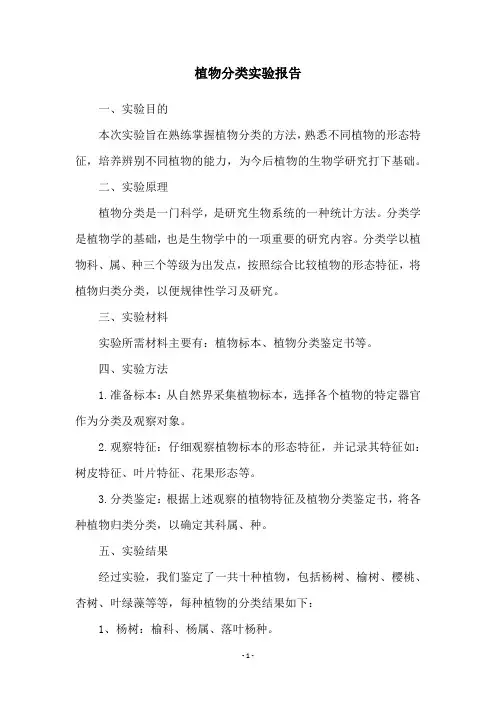 植物分类实验报告