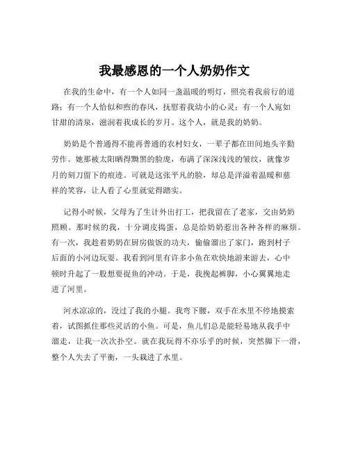我最感恩的一个人奶奶作文
