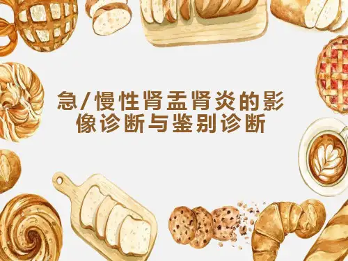 急慢性肾盂肾炎的影像诊断与鉴别诊断