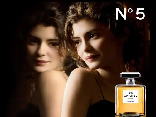 Chanel N°5英文简介演讲_ppt文档