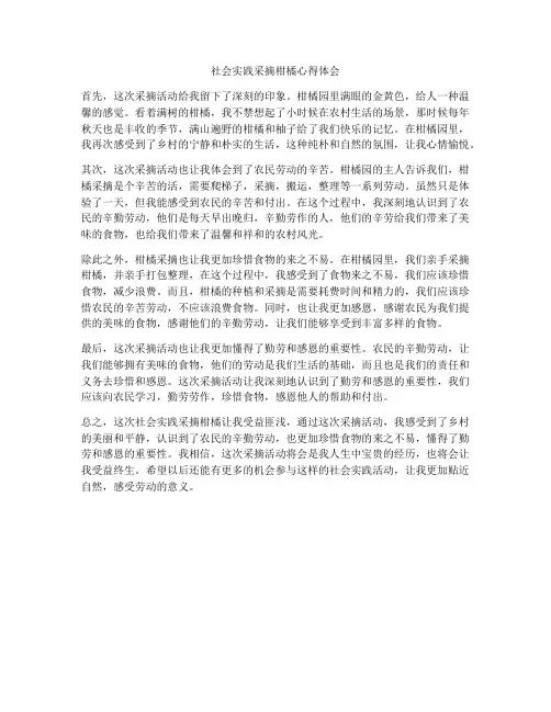 社会实践采摘柑橘心得体会