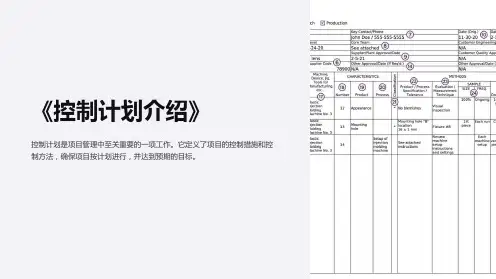 《控制计划介绍》课件