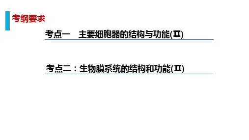 细胞器与生物膜系统