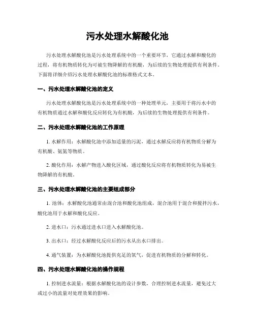 污水处理水解酸化池