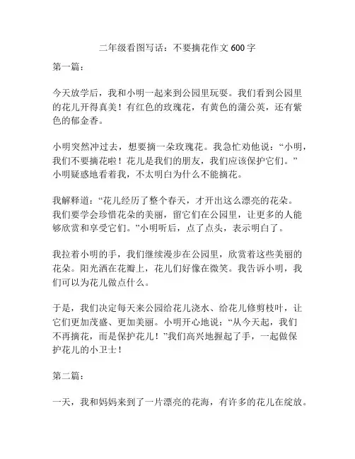 二年级看图写话：不要摘花作文600字