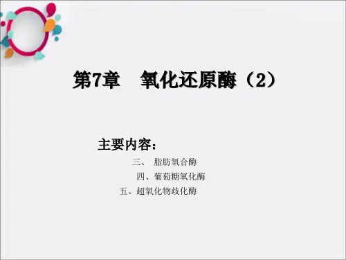 《氧化还原酶》PPT课件