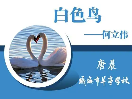 白色鸟PPT4 鲁教版 (共14张PPT)