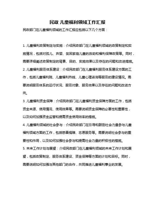 民政 儿童福利领域工作汇报