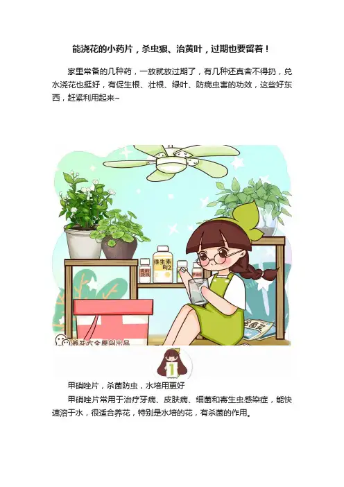 能浇花的小药片，杀虫狠、治黄叶，过期也要留着！