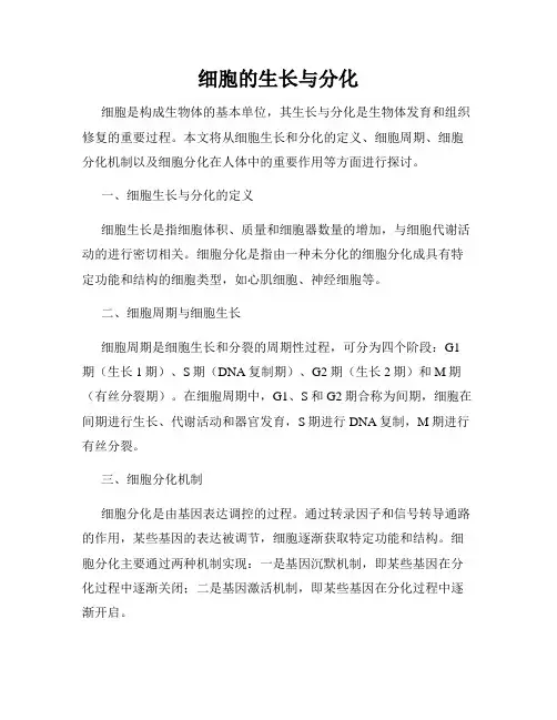 细胞的生长与分化