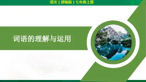 期末专题复习：词语理解及运用(共56张PPT)2023—2024学年统编版语文七年级上册