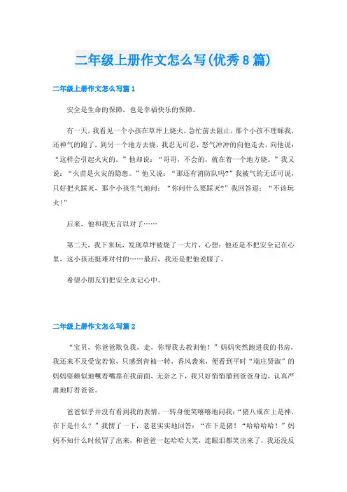 二年级上册作文怎么写(优秀8篇)