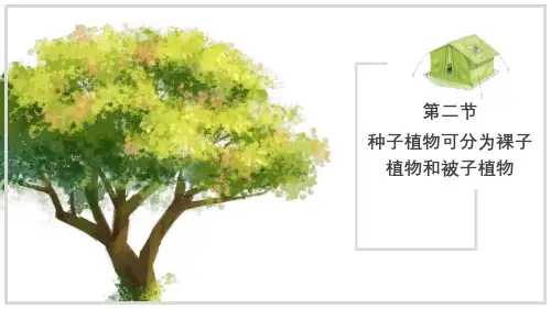 生物体在结构和功能上是一个统一整体  课件(共22张PPT) (2024年)生物济南版七年级上册