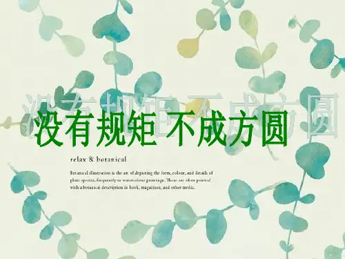 “没有规矩不成方圆”主题班会