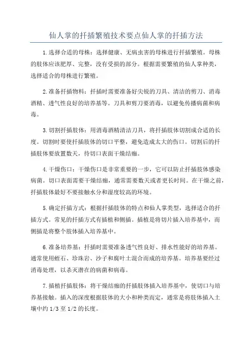 仙人掌的扦插繁殖技术要点仙人掌的扦插方法