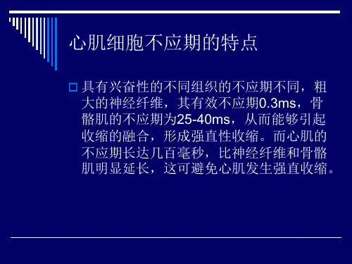不应期与心电图