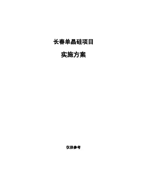 长春单晶硅项目实施方案投资分析报告