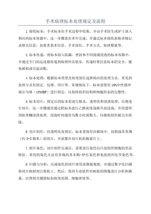 手术病理标本处理规定及流程