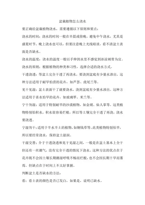 盆栽植物怎么浇水