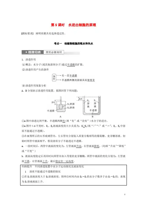 新高考2023届高考生物一轮复习讲义第2单元第5课时水进出细胞的原理新人教版