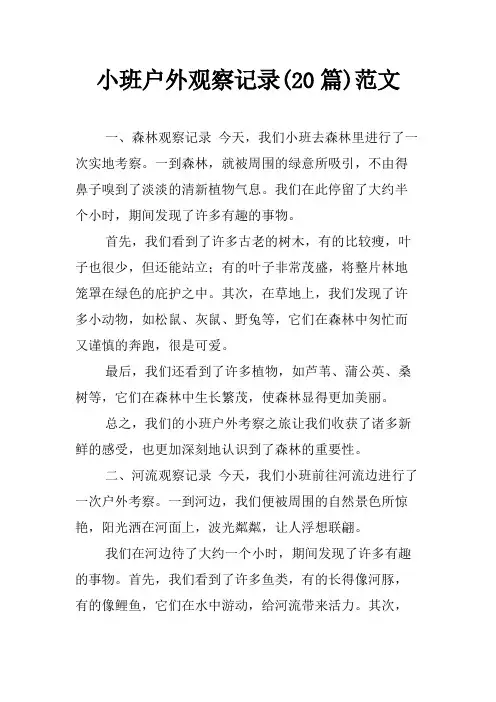 小班户外观察记录(20篇)范文