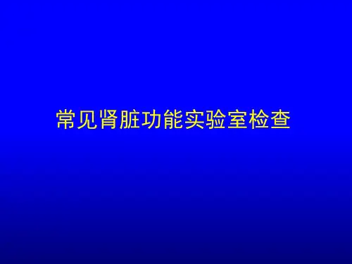 肾功能心功能检查课件