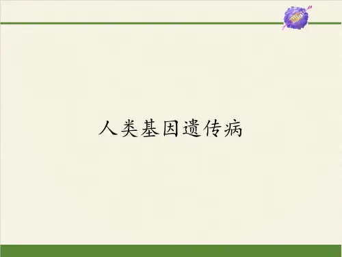 高中生物必修二课件-4.5.1人类基因遗传病4-苏教版