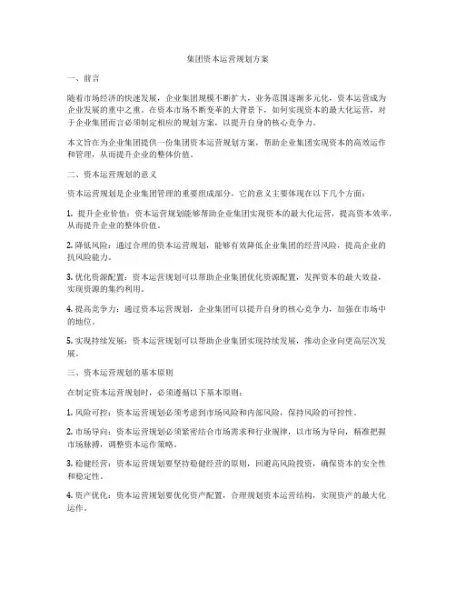 集团资本运营规划方案