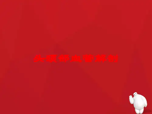 头颈部血管解剖培训课件