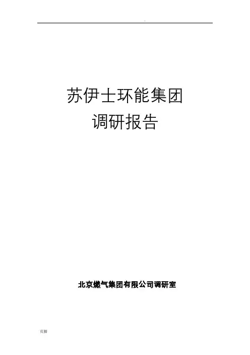 苏伊士环能集团调研报告