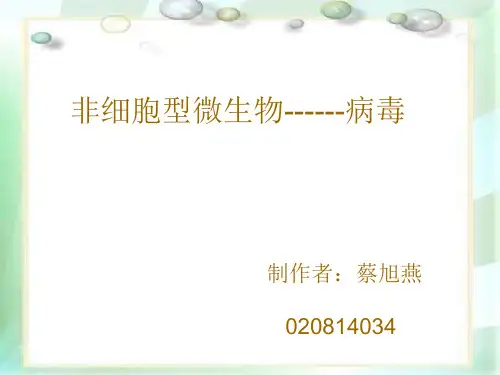 非细胞型微生物------病毒(精)