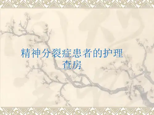 精神分裂症患者的护理查房