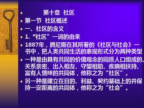 社区概述