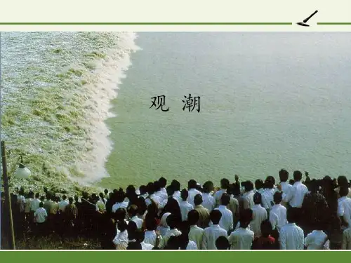 1观潮课件(共25张PPT)