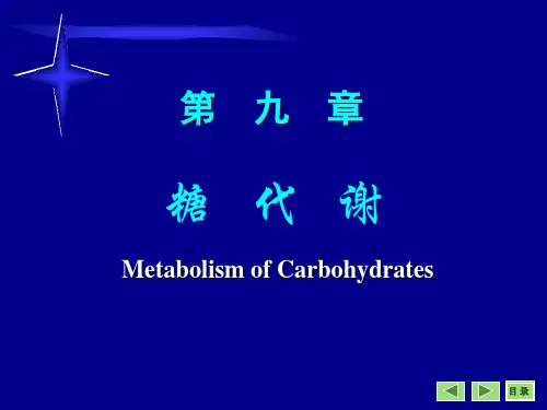 生物化学课件 第9章：糖代谢