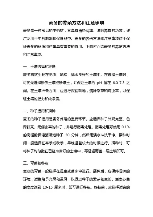 麦冬的养殖方法和注意事项
