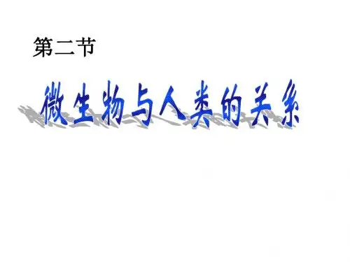 初中生物八上第五单元18.2《微生物与人类的关系》课件(共31张PPT)