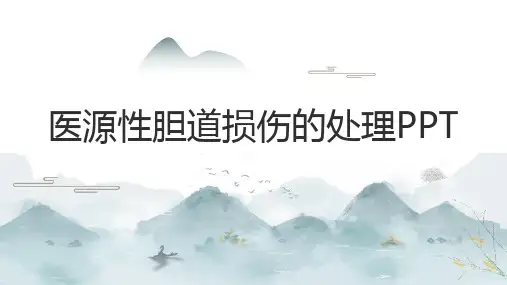 医源性胆道损伤的处理PPT
