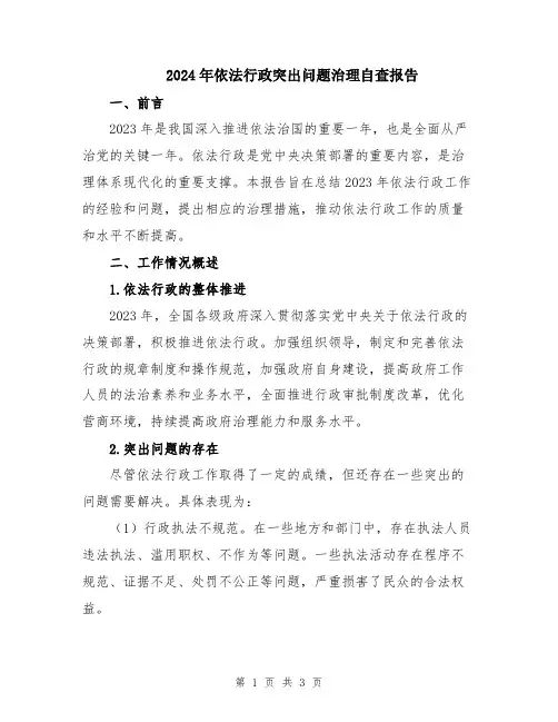 2024年依法行政突出问题治理自查报告