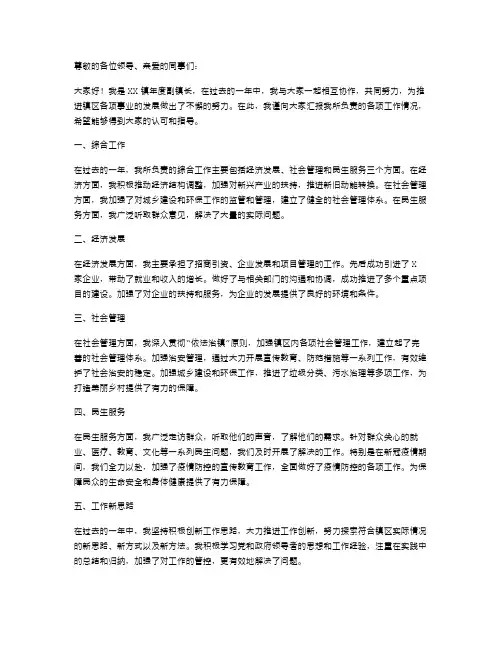 年度副镇长个人述职报告