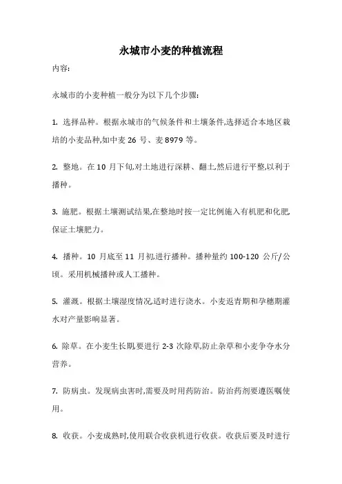 永城市小麦的种植流程