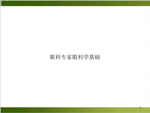 眼科专家眼科学基础PPT实用版课件
