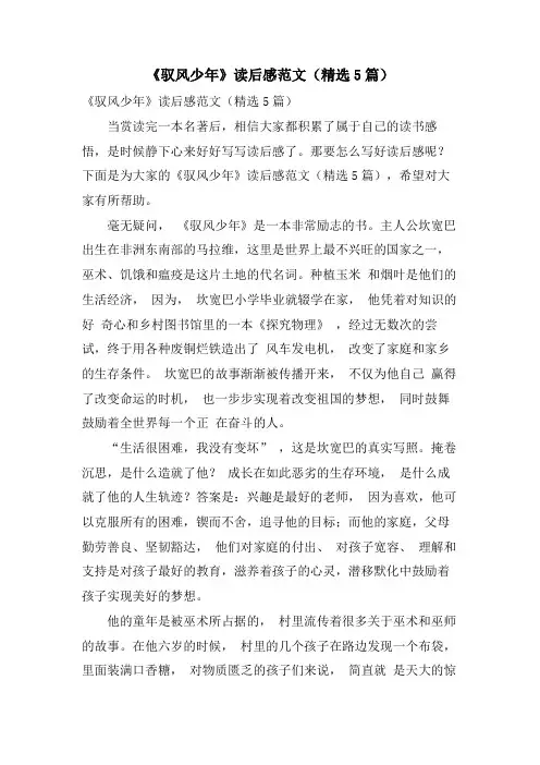 《驭风少年》读后感范文(5篇)