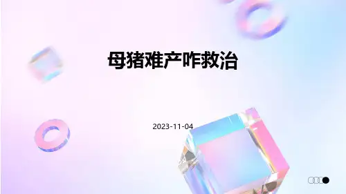 母猪难产咋救治