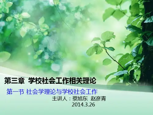 学校社会工作(社会学理论)