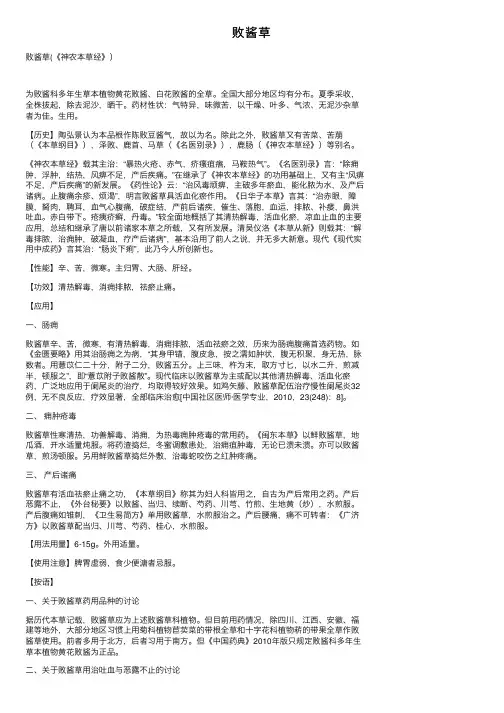 败酱草——精选推荐
